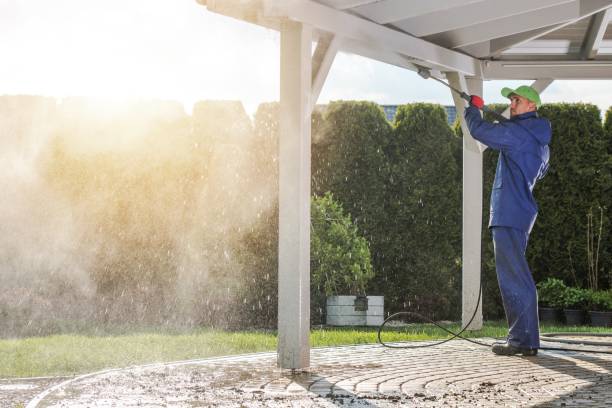 Best Rust Removal  in Reidsville, GA